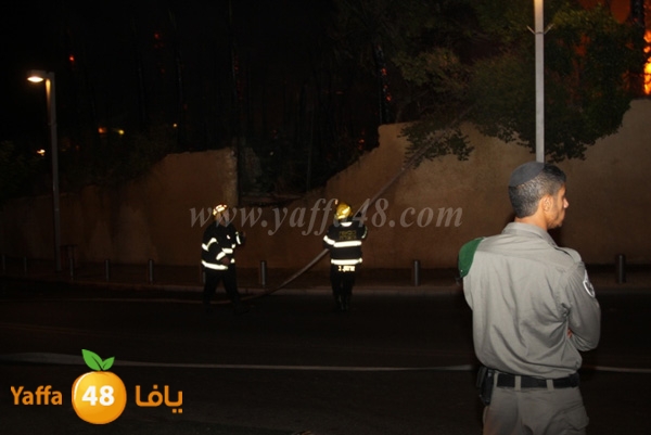 fire minas2 sterer (16).JPG